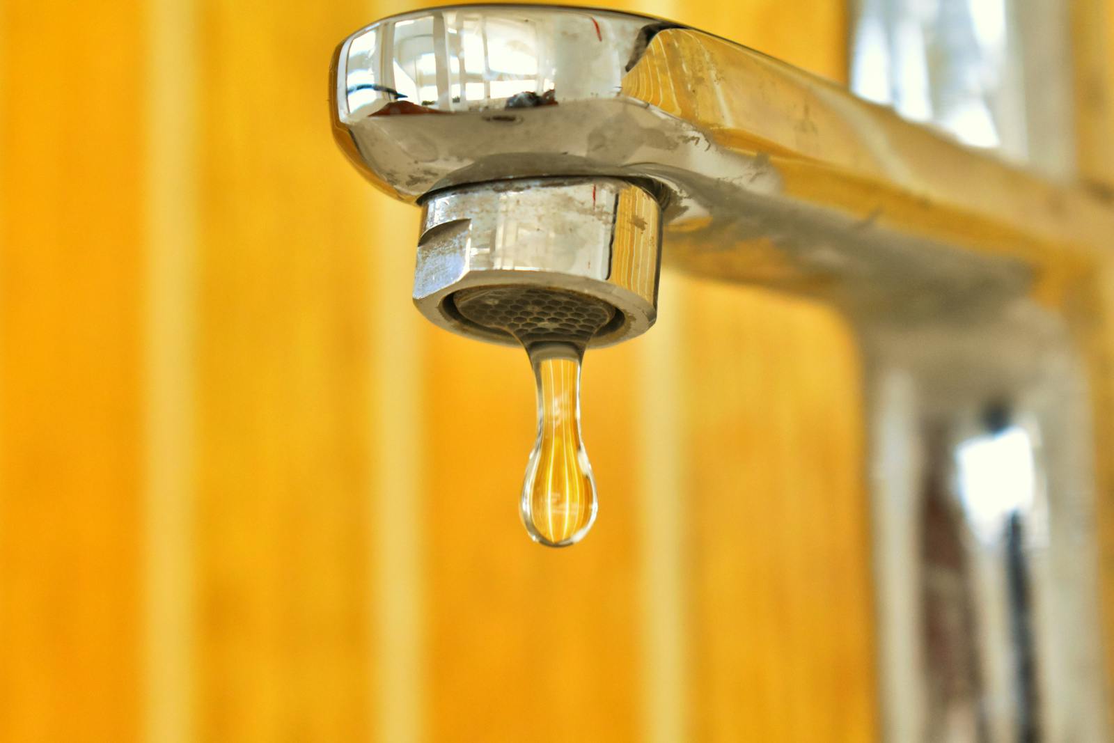 plumbing services